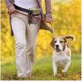 Phonyeer Dog Treat Pouch - Pet Snacks, Toys and Training Tools Carrier With Built-In Poop Bag Dispenser - Stylish, Multi-wear, Multipurpose Weather-Resistant Nylon Fabric Material