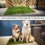 Oiyeefo Artificial Pet Pee Grass Mat for Puppy, Pet Turf Fake Grass Replacement Pad for Dog Potty Training, Indoor and Outdoor - 2 Packs (18'' x 23'')