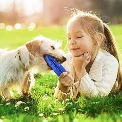 Dog Toothbrush Toy for Teeth Cleaning, Dog Chew Toy for Dental Care, Interactive Dog Toys to Relieve Stress, Toothbrush Squeaky Toys for Dogs
