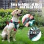 Petties&Sweeties No Pull Dog Harness, Reflective Adjustable Soft Padded Vest Unique Colors,with a Easy Control Training Handle,with Poop Bags Blue