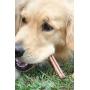 Downtown Pet Supply 6 inch Bully Sticks - Standard Regular Thick Select Dog Dental Chew Treats (10 Pack)