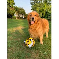 Wola Dog Soccer Ball, Size 3 with Free Pump, Made Out of 100% Natural Rubber, Non-Toxic Dog Toy - Rope & Tug Dog Toy