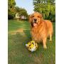 Wola Dog Soccer Ball, Size 3 with Free Pump, Made Out of 100% Natural Rubber, Non-Toxic Dog Toy - Rope & Tug Dog Toy