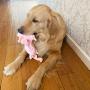 Jalousie 5 Pack Dog Squeaky Toys Three no Stuffing Toy and Two Plush with Stuffing for Small Medium Large Dog Pets New (Combo A)