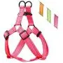 Heavy Duty Quick-Fit Step-in Harness Comfortable, Adjustable Lightweight Breathable and Easy Walker for Small Medium Large Dogs (S (Width:1/2'', Chest:13.8''-21''), Neon Pink) Heavy Duty Quick-Fit Step-in Harness Comfortable, Adjustable Lightweight Breathable and Easy Walker for Small Medium Large Dogs (S (Width:1/2'', Chest:13.8''-21''), Neon Pink)