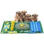 Pet Snuffle Mat for Dogs Nosework Blanket Dog Training Mats Cats Dog Feeding Interactive Feed Game Puzzle Toys for Boredom, Encourages Natural Foraging Skills Bowl Travel Use, Dog Treat Dispenser