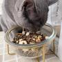 Glass Rasied Bowl for Cat Puppy Water Food Feeder wih Elevated Steel Stand, Tilt Angle, Stress Free Comfor Feeding Bowl (Glass Clear, Medium)