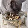 Glass Rasied Bowl for Cat Puppy Water Food Feeder wih Elevated Steel Stand, Tilt Angle, Stress Free Comfor Feeding Bowl (Glass Clear, Medium) Glass Rasied Bowl for Cat Puppy Water Food Feeder wih Elevated Steel Stand, Tilt Angle, Stress Free Comfor Feeding Bowl (Glass Clear, Medium)