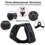 MUDINPET Cat Harness Escape Proof, Kitten Mesh Vest Harness, Adjustable Reflective Comfortable Soft Cat Chest Harness