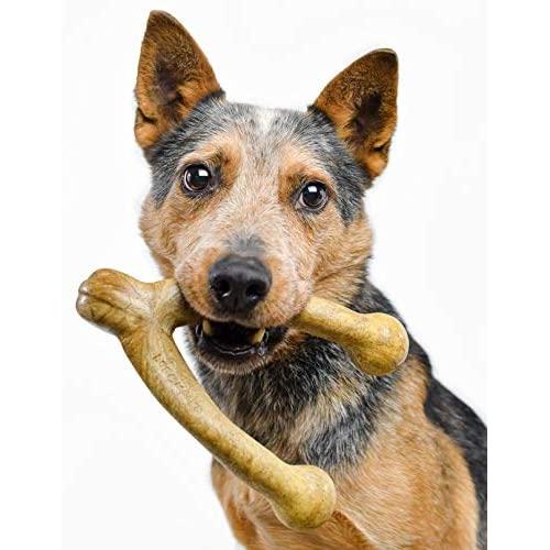 Pet Qwerks Wish BarkBone - For Aggressive Chewers| Made in USA