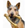 Pet Qwerks Wish BarkBone - For Aggressive Chewers| Made in USA