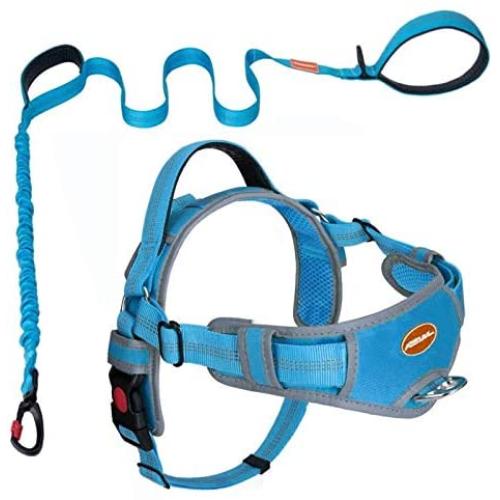 AdventureMore No Pull Choke Free Dog Halter Harness Leash Set - Dog Harness with Handle & 5 ft Double-Handle Shock Absorbing Bungee Training Leash