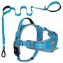 AdventureMore No Pull Choke Free Dog Halter Harness Leash Set - Dog Harness with Handle & 5 ft Double-Handle Shock Absorbing Bungee Training Leash AdventureMore No Pull Choke Free Dog Halter Harness Leash Set - Dog Harness with Handle & 5 ft Double-Handle Shock Absorbing Bungee Training Leash