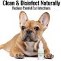 Pure and Natural Pet - Ear Cleansing Serum 1 oz, White (PN210)