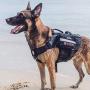 OneTigris Large Tactical Dog Harness and Collar Set, No Pulling Adjustable Dog Vest Harness, Heavy Duty Dog Harness with 3 Handles(Black,L)