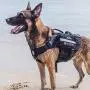 Large Tactical Dog Harness Sets, No Pulling Adjustable Dog Vest Harness, Heavy Duty Dog Harness with 3 Handles(Black) Large Tactical Dog Harness Sets, No Pulling Adjustable Dog Vest Harness, Heavy Duty Dog Harness with 3 Handles(Black)