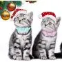 Puppy Puzzle Toys and Cat Collar Set Bow Puppy Puzzle Toys and Cat Collar Set Bow
