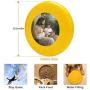Pet Frisbee Flying Disc Dog Toy - Multifunction Forever and Ever Greg Olsen