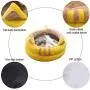 GUOXY High Elastic Pp Cotton Dog Bed Cat Cushion Semi-Enclosed Warm Cat House Four Seasons Universal Pet Nest for Cats and Dogs,Bgray,Small GUOXY High Elastic Pp Cotton Dog Bed Cat Cushion Semi-Enclosed Warm Cat House Four Seasons Universal Pet Nest for Cats and Dogs,Bgray,Small