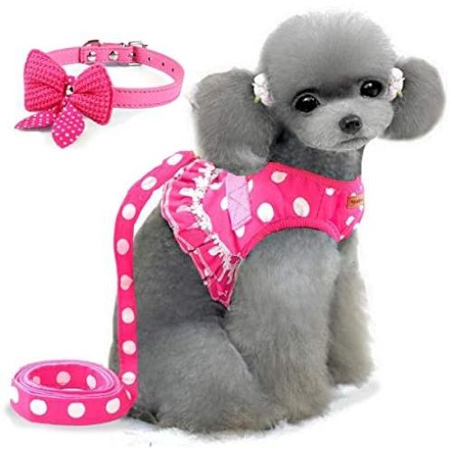 Cute Small Dog Harness, Ladies Polka Dots Dog Vest Harness Set with Pink Leash and Bowknot Collar, 3 in 1 Girl Style Vest Harness Set for Puppy and Cat (S, Pink)