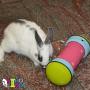 PIPOLINO-S - Mobile Food Dispenser for Well-Being and Health of Small Animals …