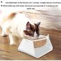 DHAWS Raised Cat Bowl, 15 Degrees Tilted Adjustable Anti-Overturn Pet Feeder for Small Cat and Dogs