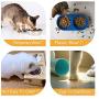 llkajes Ceramic Raised Cat Bowl Food Water Dog Basic Bowl with Anti-Slip Wooden Stand Protect Neck Joints Pet Feeding Bowls Easy to Clean Healthy Eating
