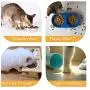 llkajes Ceramic Raised Cat Bowl Food Water Dog Basic Bowl with Anti-Slip Wooden Stand Protect Neck Joints Pet Feeding Bowls Easy to Clean Healthy Eating llkajes Ceramic Raised Cat Bowl Food Water Dog Basic Bowl with Anti-Slip Wooden Stand Protect Neck Joints Pet Feeding Bowls Easy to Clean Healthy Eating
