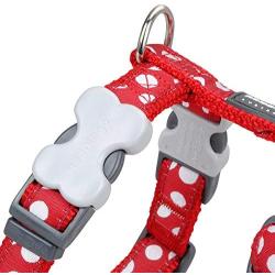 Red Dingo Dog Collar