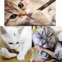 IETANG Cat Treat Chew Stick Toys,Sticks Organic Natural Plant Healthy Snacks Teeth Cleaning Bite Sticks, Kittens Cleaning Teeth Molar Tools, Cat Silvervine Sticks Value Set for Pets