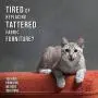Pet Nail Clippers for Small Animals - Best Cat Nail Clippers & Claw Trimmer for Home Grooming Kit - Professional Grooming Tool for Tiny Dog Cat Bunny Rabbit Bird Puppy Kitten Ferret - Ebook Guide Pet Nail Clippers for Small Animals - Best Cat Nail Clippers & Claw Trimmer for Home Grooming Kit - Professional Grooming Tool for Tiny Dog Cat Bunny Rabbit Bird Puppy Kitten Ferret - Ebook Guide