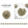 Bitcircuit Cat Mint Ball, Cat Catnip Sticks Mint Ball, Lickable Cat Treats Stick-On Wall Toy with Adhesive Sticker Natural Compressed Catnip Ball Toy for Pet Relieve Stress Soothing Breath