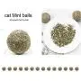 Bitcircuit Cat Mint Ball, Cat Catnip Sticks Mint Ball, Lickable Cat Treats Stick-On Wall Toy with Adhesive Sticker Natural Compressed Catnip Ball Toy for Pet Relieve Stress Soothing Breath Bitcircuit Cat Mint Ball, Cat Catnip Sticks Mint Ball, Lickable Cat Treats Stick-On Wall Toy with Adhesive Sticker Natural Compressed Catnip Ball Toy for Pet Relieve Stress Soothing Breath