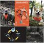 SGODA Dog Cooling Harness Cooler Exploring Vest