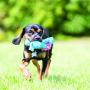 KONG Cozies Dog Squeaky Toy