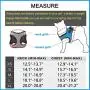 PAWDAY Dog Harness Step-in Air Pet Harness All Weather Soft Touch Mesh Vest Harness No Pull & No Choke and Escapeproof Dog Vest for Puppies, Small Medium Dogs and Large Cats PAWDAY Dog Harness Step-in Air Pet Harness All Weather Soft Touch Mesh Vest Harness No Pull & No Choke and Escapeproof Dog Vest for Puppies, Small Medium Dogs and Large Cats