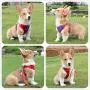Vehomy Cat Small Dog Vest Harness Leash Set Step in Vest Harness with Soft Gentle Suede Fabrics for Cats Small Dogs Escape Proof Breathable Mesh Pet Harness with Reflective Leash Red Blue L Vehomy Cat Small Dog Vest Harness Leash Set Step in Vest Harness with Soft Gentle Suede Fabrics for Cats Small Dogs Escape Proof Breathable Mesh Pet Harness with Reflective Leash Red Blue L