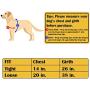 Hide & Drink, Leather No Pull Walking Dog Harness, Adjustable Straps, Pet Training Supplies, Accessories, Handmade Includes 101 Year Warranty :: Bourbon Brown