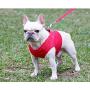 MrLYouth No-Pull Adjustable Pet Vest with Handle,Step in Dog Breathable Vest Harness for Small Medium Size Dog for Outdoor Walking,Red