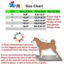 THAIN Comfort and Control Dog and Cat Vest Harness No Pull No Choke Design Padded Vest Eco-Friendly for Puppy Dog and cat