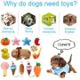 Strangefly Dog Squeaky Toys Cute Variety of Stuffed Plush Toys for Small Medium Puppy Pets Chew Toys (12 Pack)