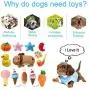 Strangefly Dog Squeaky Toys Cute Variety of Stuffed Plush Toys for Small Medium Puppy Pets Chew Toys (12 Pack) Strangefly Dog Squeaky Toys Cute Variety of Stuffed Plush Toys for Small Medium Puppy Pets Chew Toys (12 Pack)