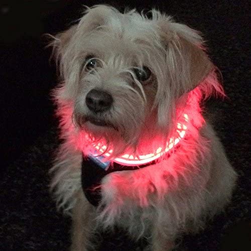 Shine for Dogs Ultimate LED Dog Harness - USB Rechargeable, Cable Included, 4 Awesome Colors. Ultra Bright, Durable, Made to Last. Maximize Your Dog’s Visibility.