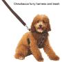 Rubies Star Wars Classic Chewbacca Pet Leash and Harness