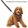 Rubies Star Wars Classic Chewbacca Pet Leash and Harness Rubies Star Wars Classic Chewbacca Pet Leash and Harness