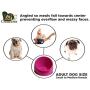 Love ''N'' Creatures – Slanted Dog Bowl