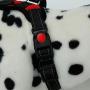BFIT Dog Harness