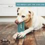 Shasoly Dog Toothbrush Chew Toy - Deep Cleaning Dog Toothbrush Toy to Protect Dental Health Bundled with Toothbrush and Bonus Clicker for Training - Pet Happiness Approved Dog Dental Toy in Sky Blue
