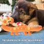 FAMKIT Durable Lizard-Pattern Safe Pet Dog Puppy Grinding Teeth Biting Toy(Yellow)