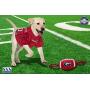 Pets First NCAA Georgia Bulldogs Football Dog Toy, Tough Quality Nylon Materials, Strong Pull Ropes, Inner Squeaker, Collegiate Team Color